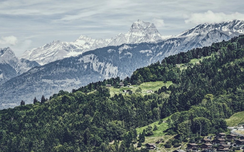 Paysage des Alpes suisses
