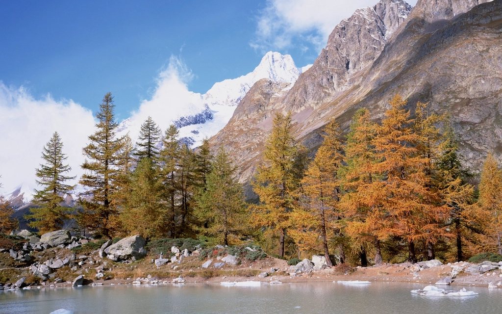 Paysage des Alpes suisses